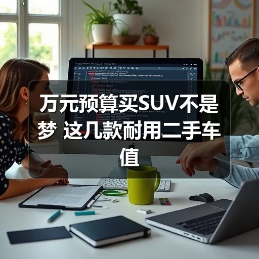 万元预算买SUV不是梦 这几款耐用二手车值得一看(图2) 万元预算买SUV不是梦 这几款耐用二手车值得一看(图2)